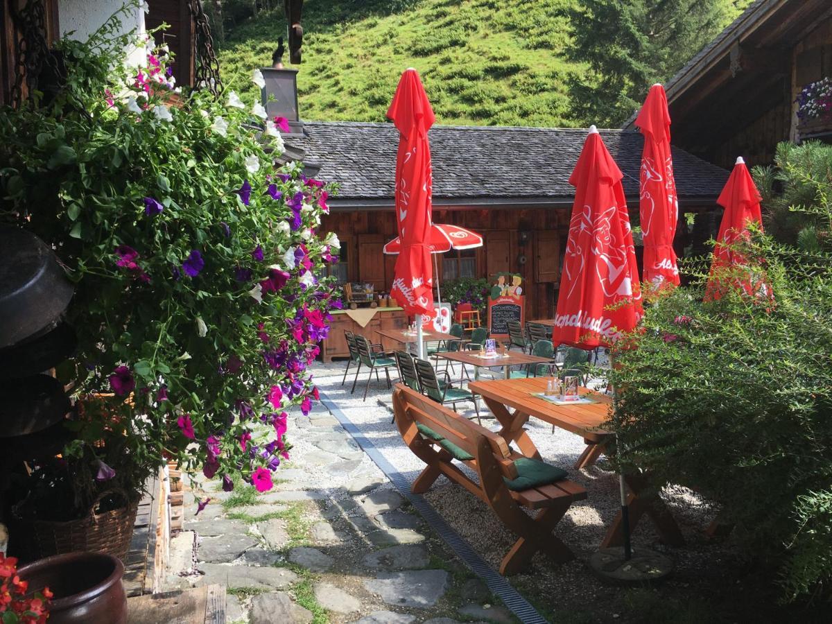 홀레르스바흐 임 핀츠가우 Senninger Alm B&B 외부 사진